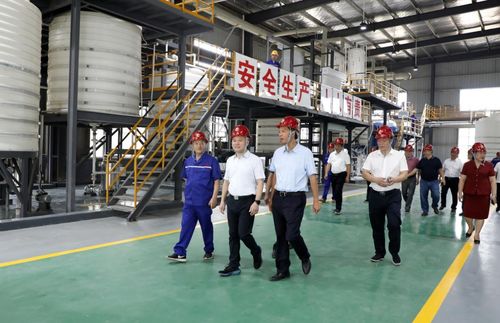 湖南永澤冶金與永晟?？萍夹聫S(chǎng)竣工投產(chǎn)，并深化教育咨詢(xún)服務(wù)，開(kāi)啟產(chǎn)業(yè)與人才協(xié)同發(fā)展新篇章