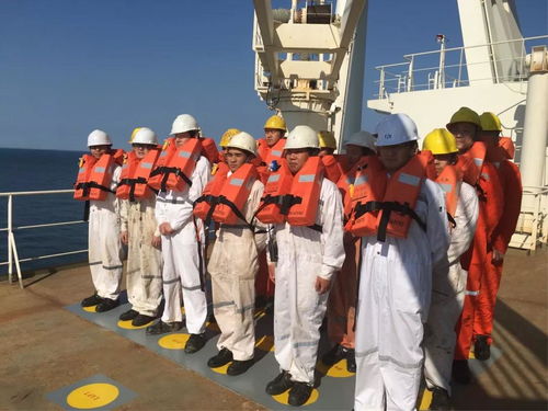 陽海國際船舶公司誠聘招生代理，共拓國際船舶管理業務新篇章