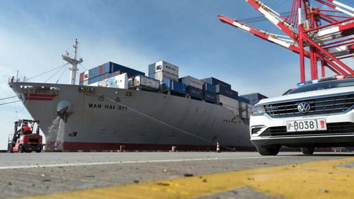 春節臨近，上海邊檢助力民生物資快速抵滬，保障國際船舶管理業務高效運轉